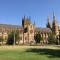 Image Caption
