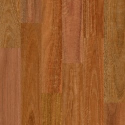 Spotted Gum 