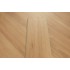 Native Blackbutt (Hekla 9)