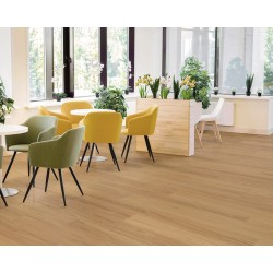 Native Blackbutt (Hekla 9)