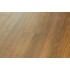 Spotted Gum (Hekla 9)