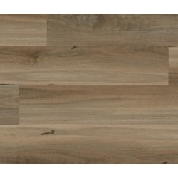 Alpine Oak