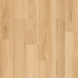 Neutral Blackbutt (Marvel 6.5)