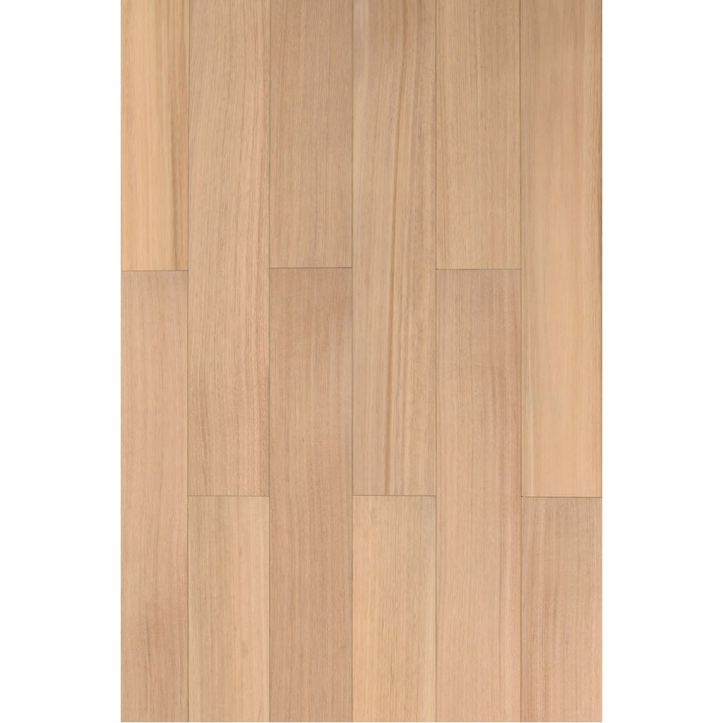 Tasi Oak Tasi Oak