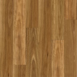 Spotted Gum