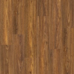 Spotted Gum