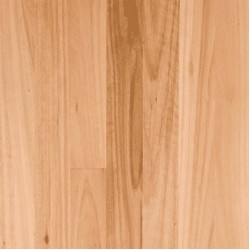 Blackbutt (Solid Prefinished AU 122)