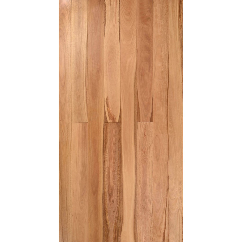 Blackbutt (Solid Prefinished Pacific 122)