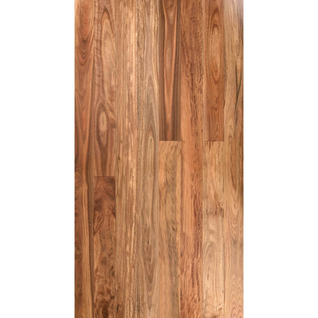 Spotted Gum (Solid Prefinished Pacific 122)