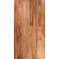 Spotted Gum (Solid Prefinished Pacific 122)