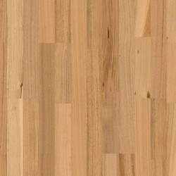 Tasmanian Oak (Solid Prefinished AU 122)