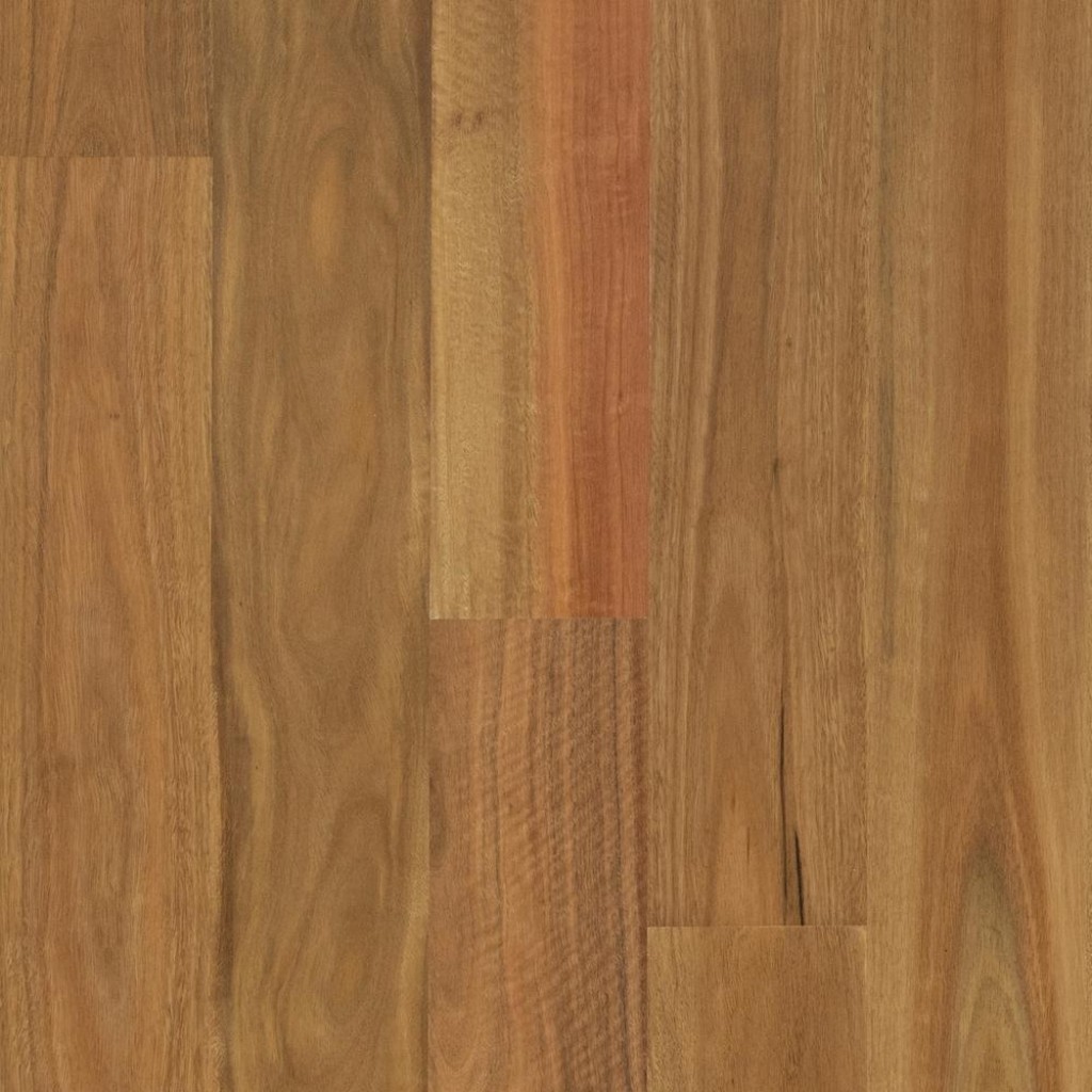 Spotted Gum (Solid Prefinished AU 130)