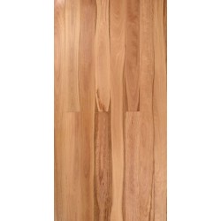 Blackbutt (Solid Prefinished Pacific 92)