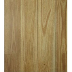 Coastal Blackbutt (Solid Raw AU 80)