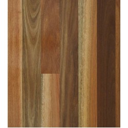 QLD Spotted Gum (Solid Raw AU 80)